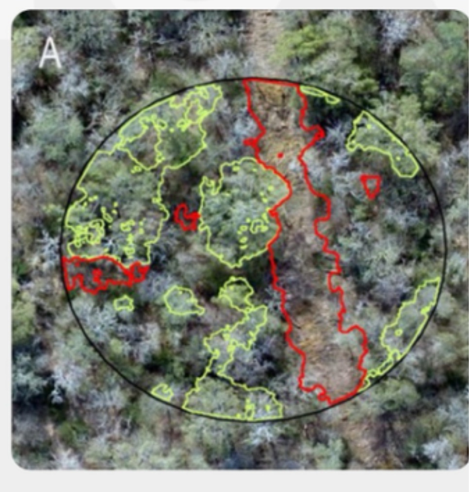 Ecosystem analysis