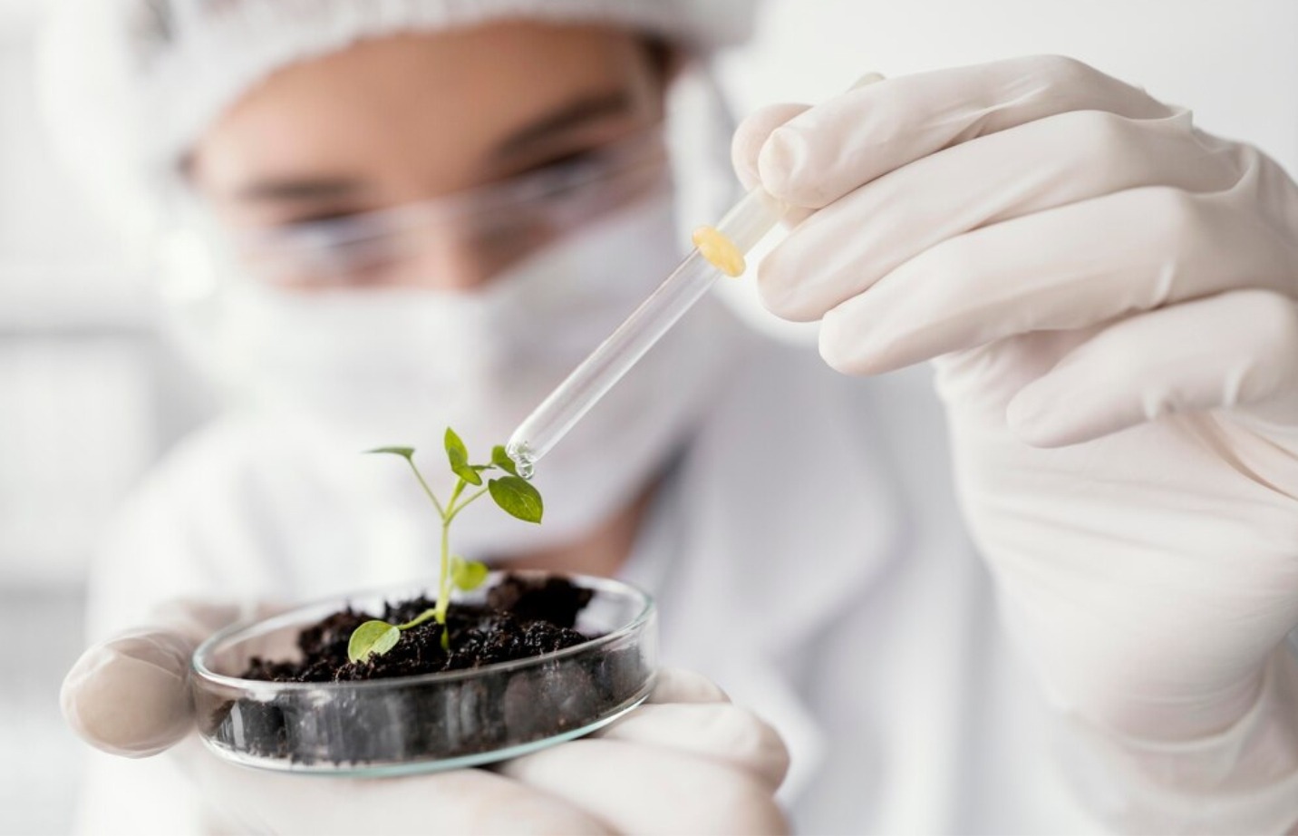 Scientific Validation